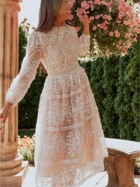 NWT Ivy City Co. Sicily Dress In Champagne Lining